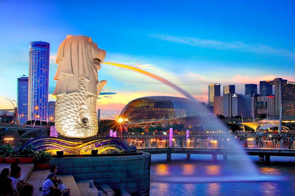 International Relocation Companies | Best International Mover in Singapore